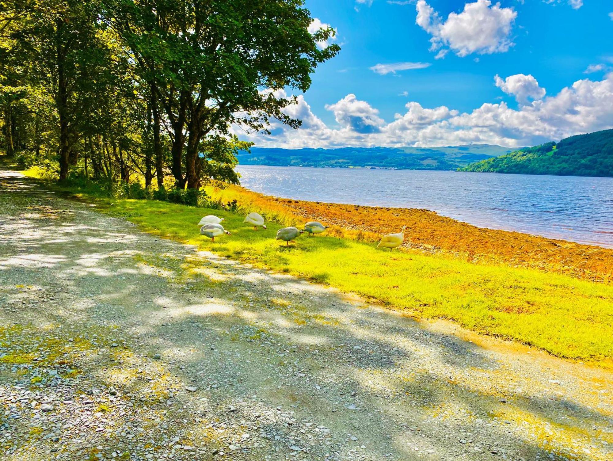Seal Point Cabin - Luxury Glamping Cairndow Extérieur photo